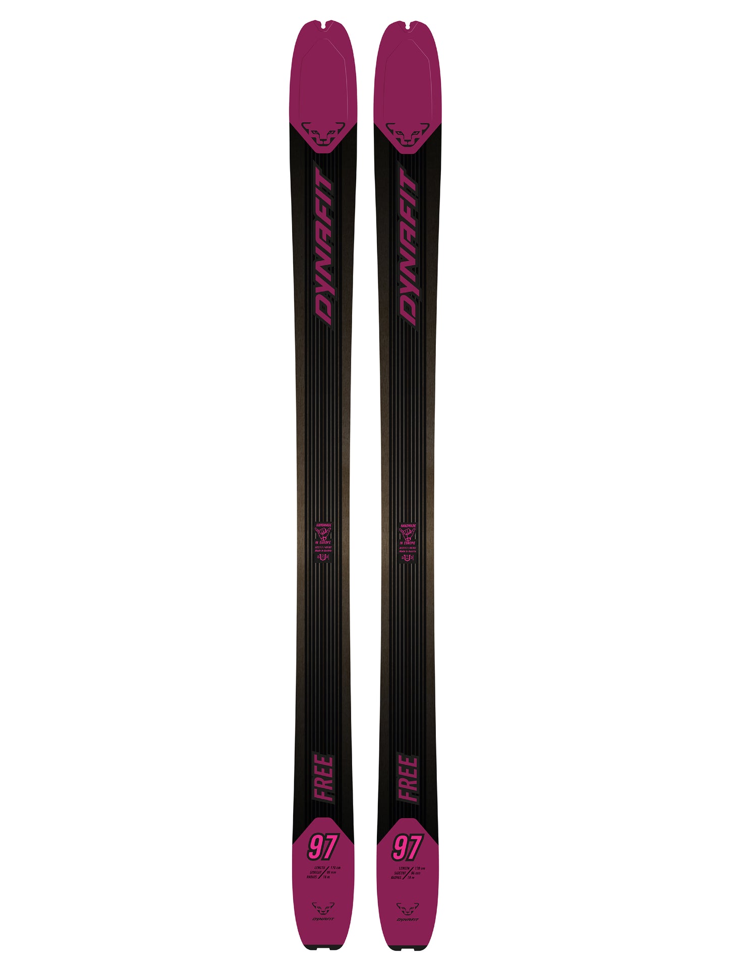Ski Dynafit Free 97 W 2023