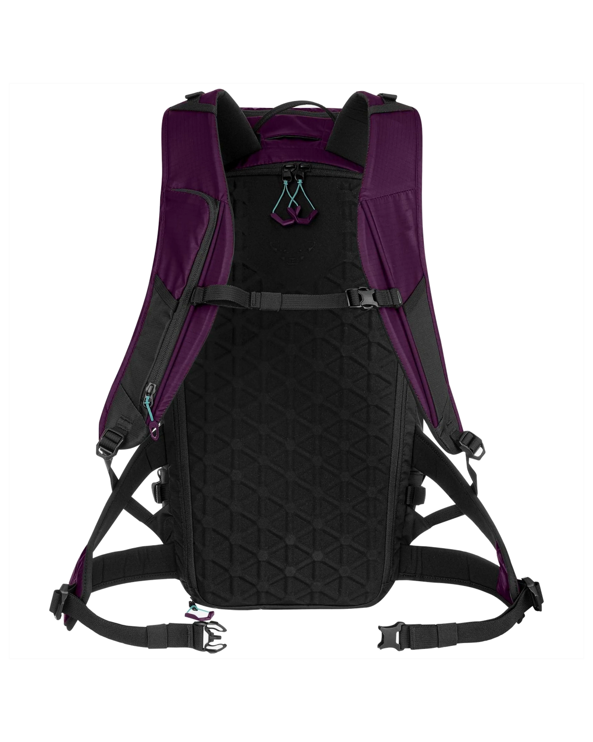 Sac à Dos pour Femme Dynafit Free 32