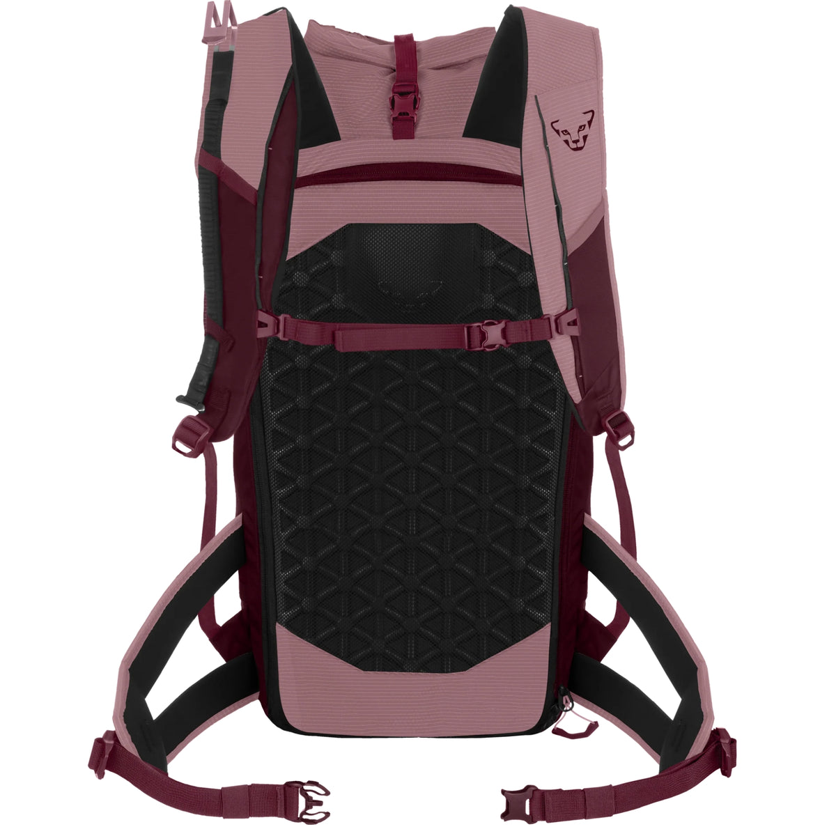 Dynafit Radical 30+ Women's Backpack
