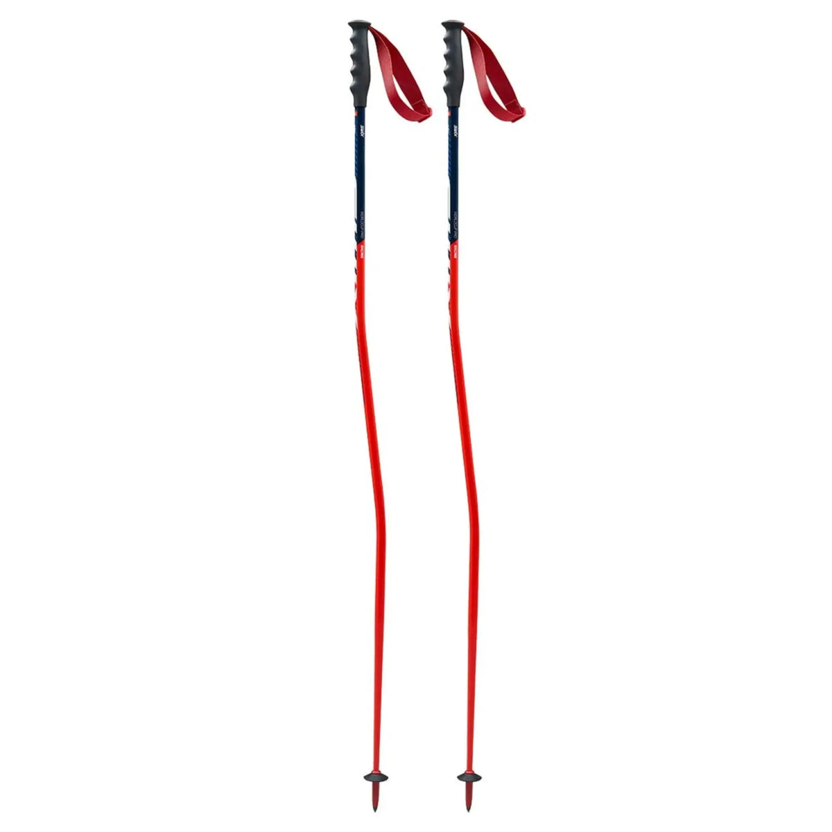 Bâtons de ski Swix WC Pro Racing GS