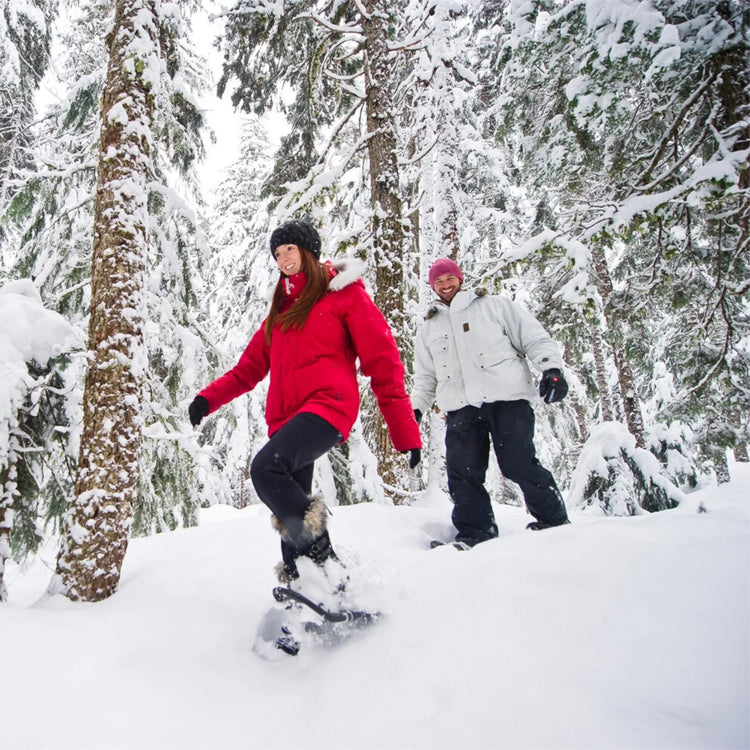 Snowshoes