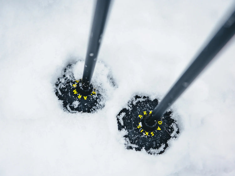 Ski Poles