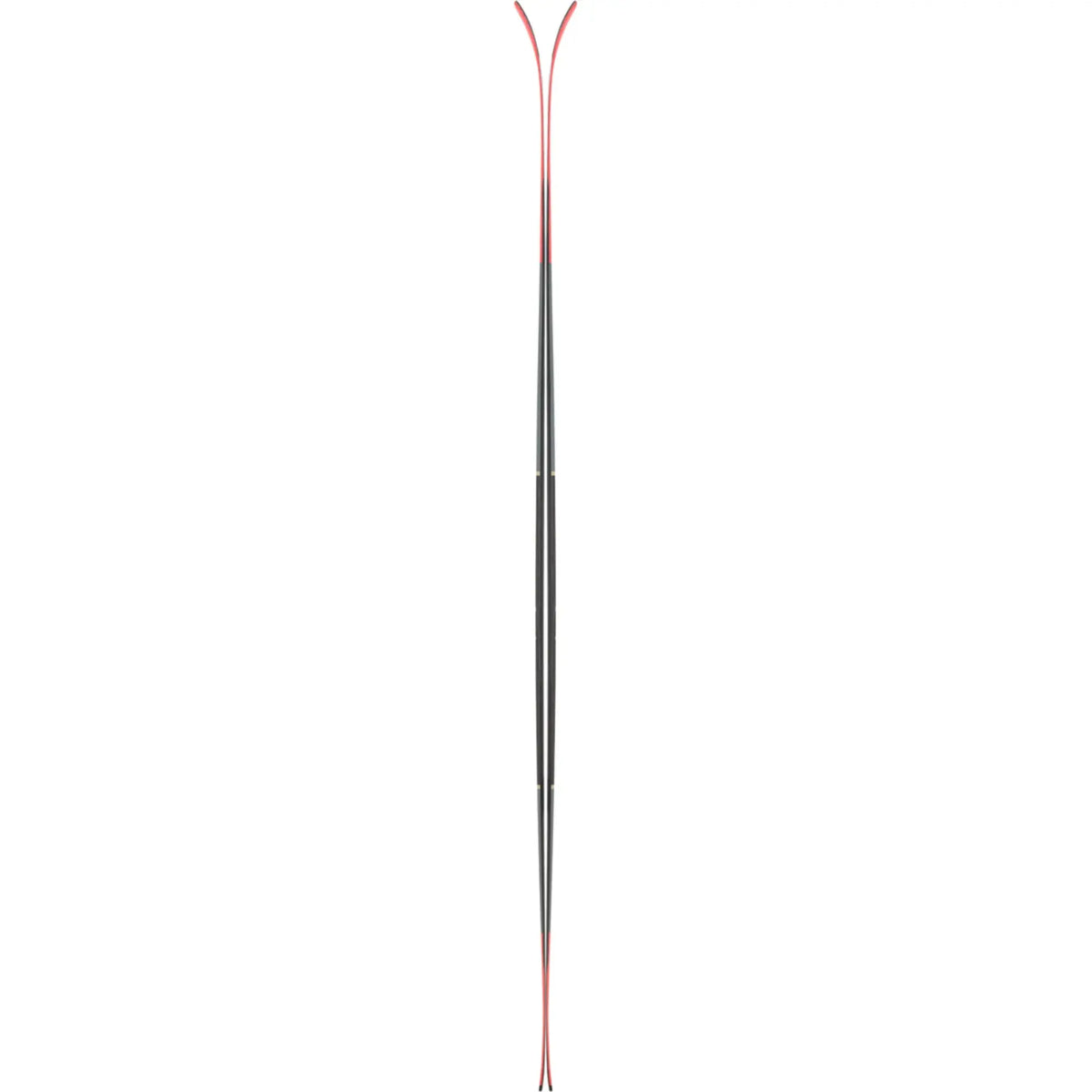 Skis K2 Wayback 80 2024