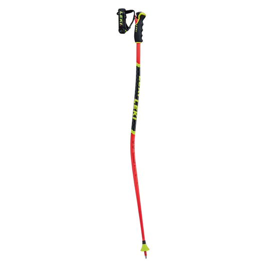 Bâtons de ski Leki WCR Lite GS 3D