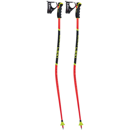 Bâtons de ski Leki WCR Lite GS 3D