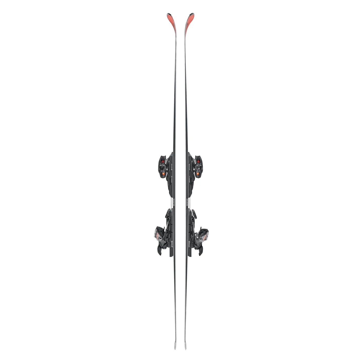 Ski Blizzard Firebird WRC 2026 + Xcell14 Demo Binding