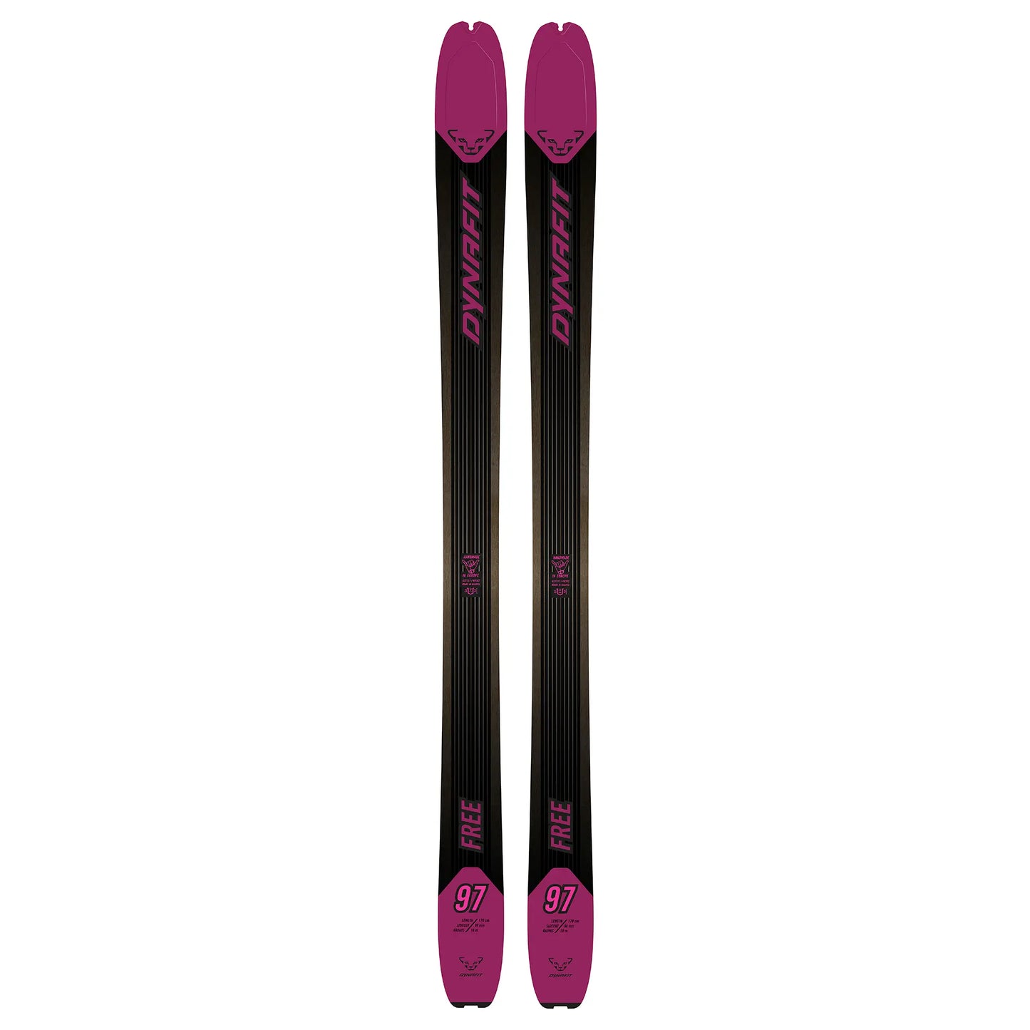 Ski Dynafit Free 97 W 2023