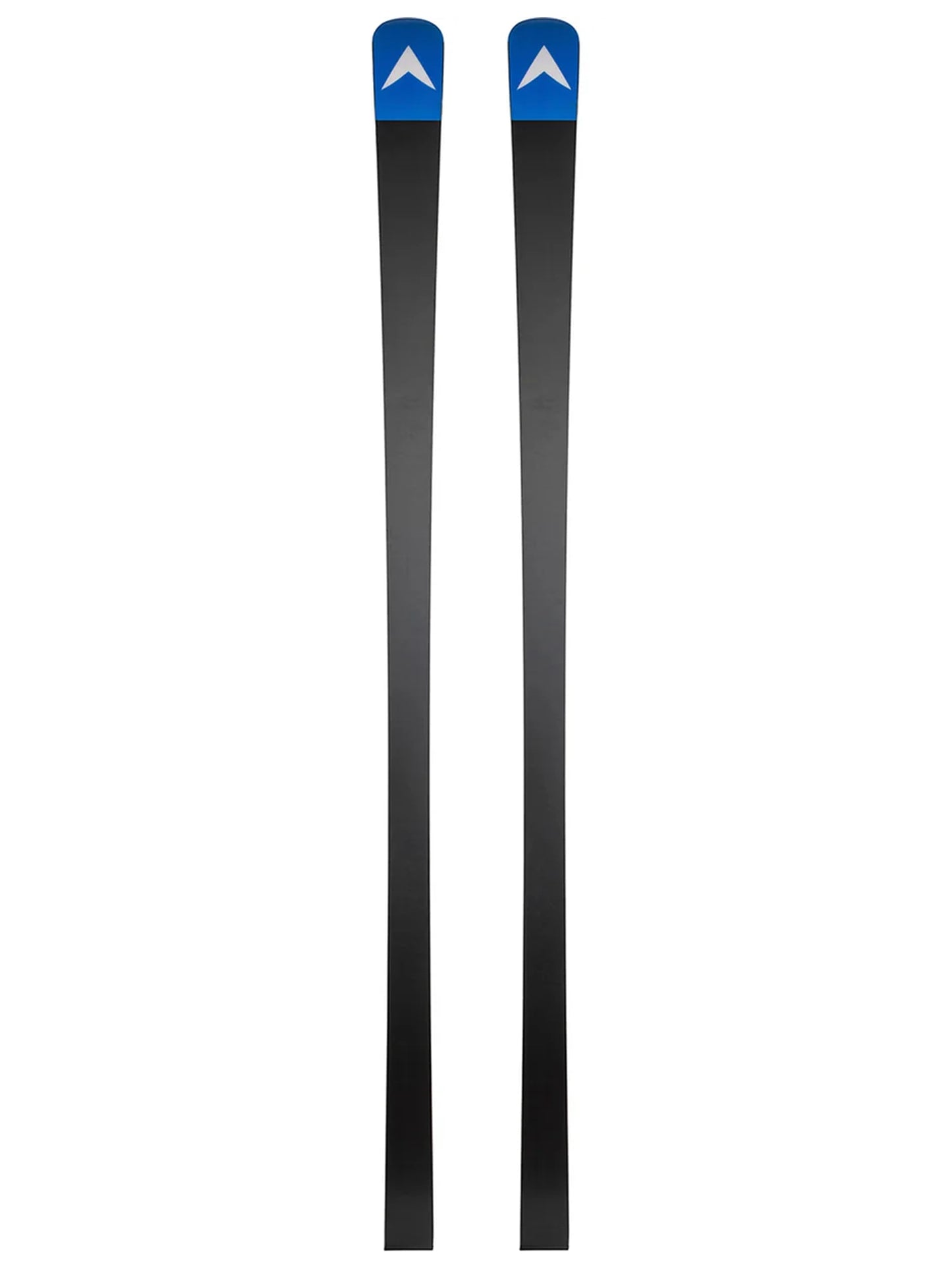 Ski Dynastar Speed WC FIS GS 2025