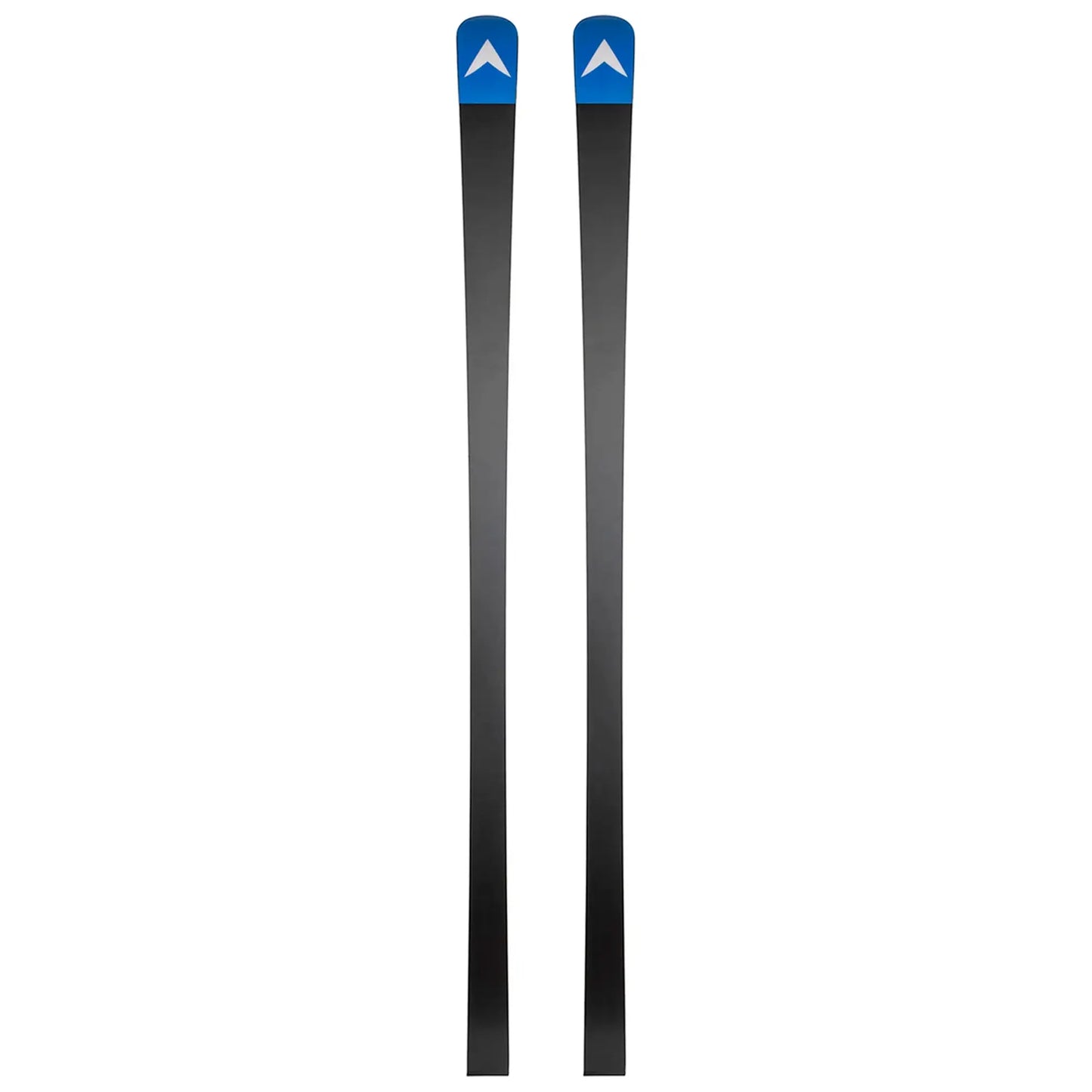Ski Dynastar Speed WC FIS GS 2025