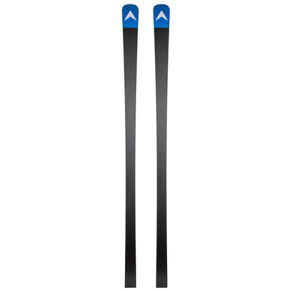 Ski Dynastar Speed WC FIS GS 2025