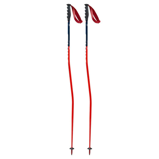 Swix WC Pro Racing GS Ski Poles
