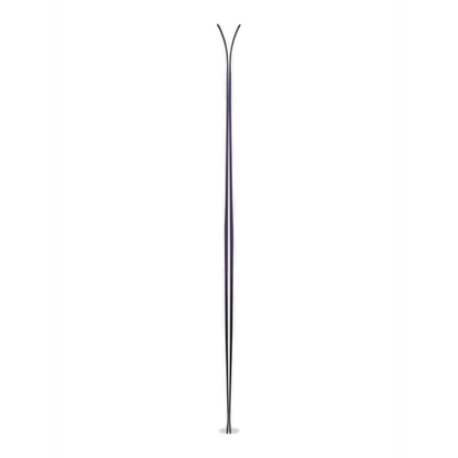 Völkl Rise Beyond 96 W Skis 2026